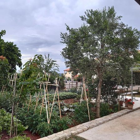 Apartment Thea Pula Ngoại thất bức ảnh